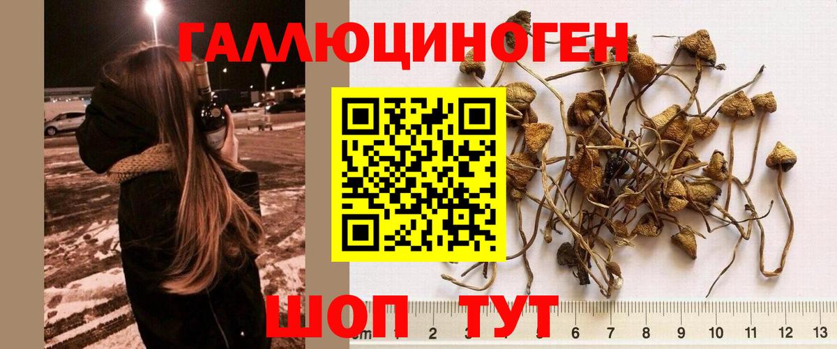 Галлюциногенные грибы Magic Shrooms Ессентуки