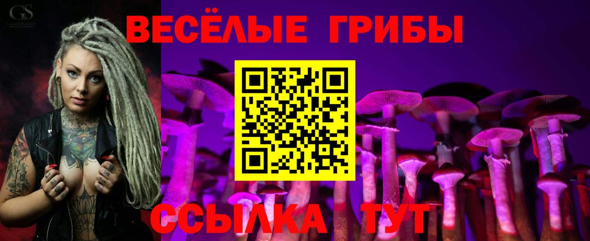 Псилоцибиновые грибы прущие грибы  Вход с VPN  магазин    Ессентуки  Галлюциногенные грибы GOLDEN TEACHER 